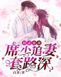 席少追妻套路深封面