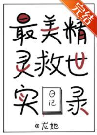 最美精灵救世实录封面