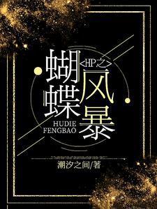 HP之蝴蝶风暴封面