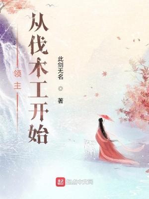 领主：从伐木工开始封面