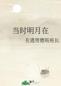 当时明月在封面
