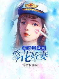 霸道总裁的警花娇妻封面