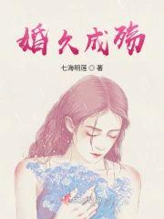 婚久成殇封面