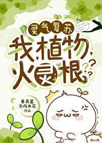 我，植物，火灵根？？？封面
