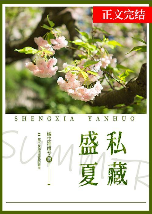 私藏一个盛夏封面
