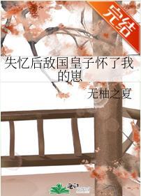 失忆后敌国皇子怀了我的崽封面