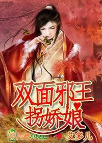 双面邪王拐娇娘封面