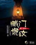 臧门诡纹封面