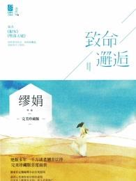 致命邂逅封面