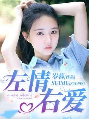 左情右爱封面