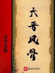 大晋风骨封面