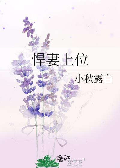 悍妻上位封面