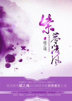 紫梦清风封面