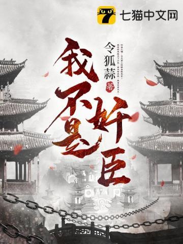 我不是奸臣封面