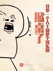 掀桌了我要一个人干翻整个娱乐圈封面