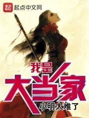 我是大当家封面
