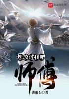 师傅您放过我吧封面