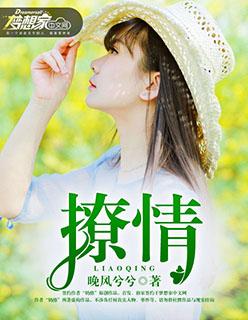 撩情封面