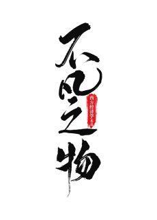 不凡之物封面