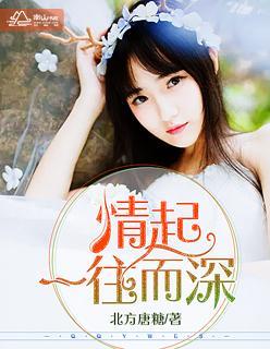 情起，一往而深封面