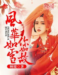 风华如雪你如故封面