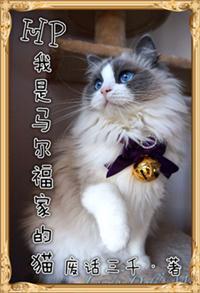 我是马尔福家的猫封面