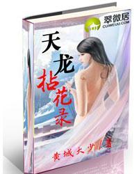 天龙拈花录（真天龙无双）封面