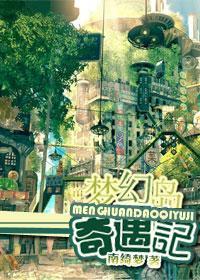 梦幻岛奇遇记封面