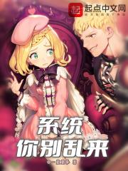 系统你别乱来封面