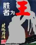 胜者为王败者为妃封面