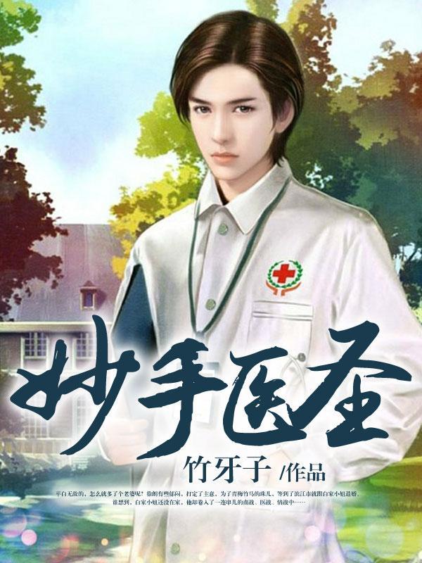 妙手医圣封面