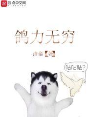 鸽力无穷封面