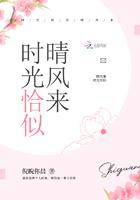 时光恰似晴风来封面