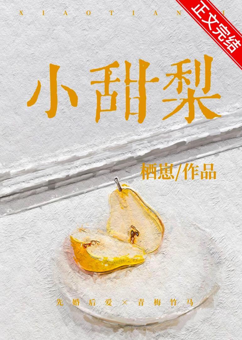 小甜梨封面