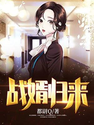 战婿归来封面