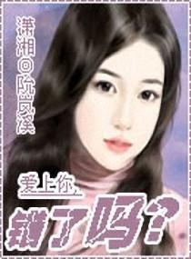 爱上你，错了吗？封面