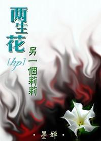 两生花·另一个莉莉封面