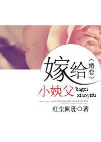 嫁给小姨父（婚恋）封面