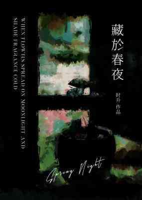 藏于春夜封面