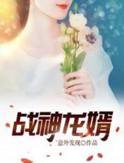 战神龙婿封面