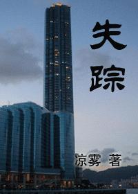 失踪封面