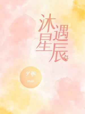 沐遇星辰封面
