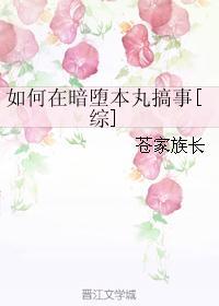 如何在暗堕本丸搞事[综]封面