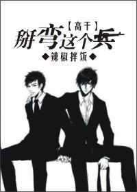 [高干]掰弯这个兵封面