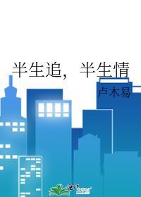 半生追，半生情封面