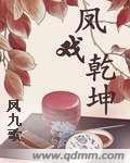 凤戏干坤封面