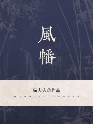 风幡封面