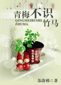 青梅不识竹马封面