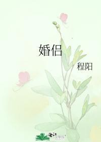 婚侣封面