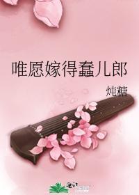 唯愿嫁得蠢儿郎封面